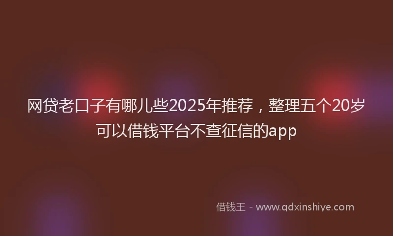 网贷老口子有哪儿些2025年推荐，整理五个20岁可以借钱平台不查征信的app