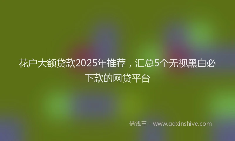 花户大额贷款2025年推荐，汇总5个无视黑白必下款的网贷平台