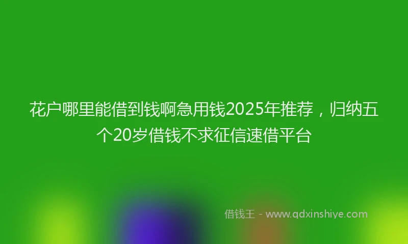 花户哪里能借到钱啊急用钱2025年推荐，归纳五个20岁借钱不求征信速借平台