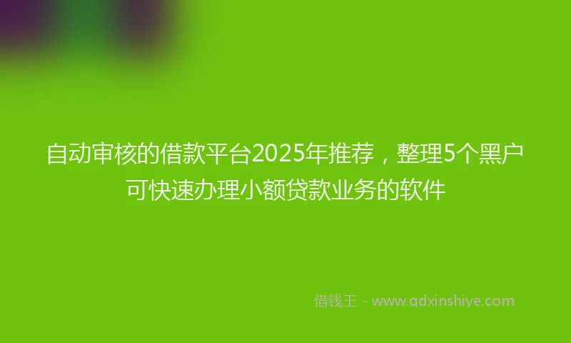 自动审核的借款平台2025年推荐，整理5个黑户可快速办理小额贷款业务的软件