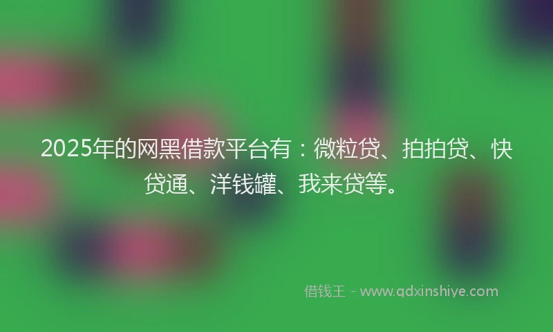2025年的网黑借款平台有：微粒贷、拍拍贷、快贷通、洋钱罐、我来贷等。