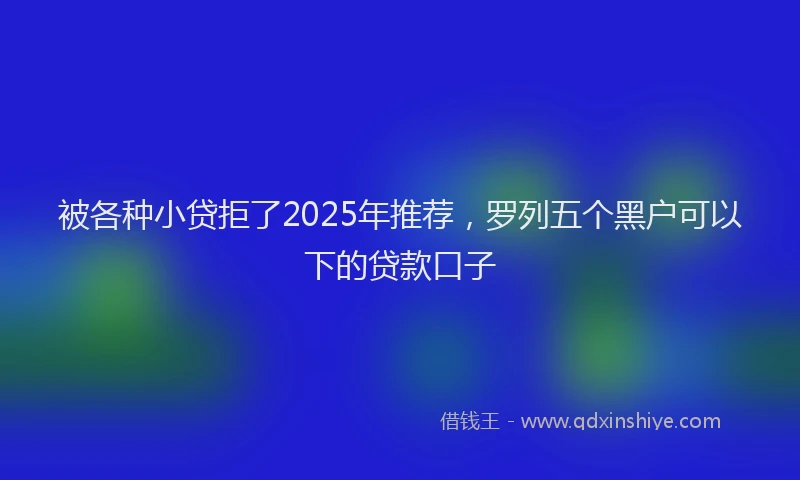 被各种小贷拒了2025年推荐，罗列五个黑户可以下的贷款口子