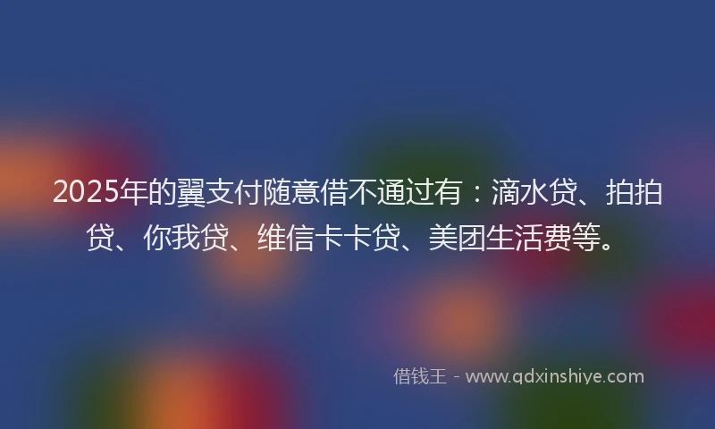 2025年的翼支付随意借不通过有：滴水贷、拍拍贷、你我贷、维信卡卡贷、美团生活费等。