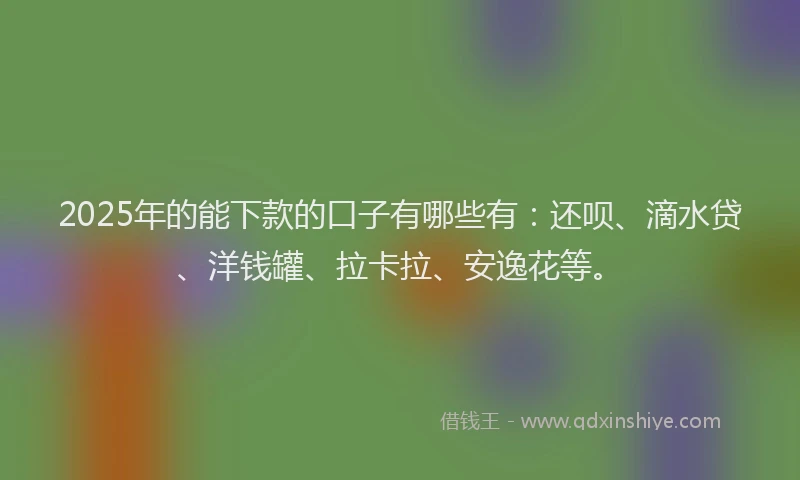 2025年的能下款的口子有哪些有：还呗、滴水贷、洋钱罐、拉卡拉、安逸花等。