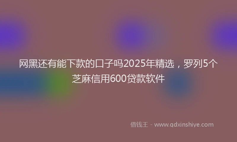 网黑还有能下款的口子吗2025年精选，罗列5个芝麻信用600贷款软件