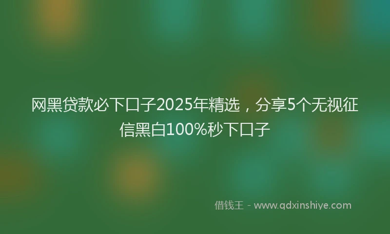 网黑贷款必下口子2025年精选，分享5个无视征信黑白100%秒下口子