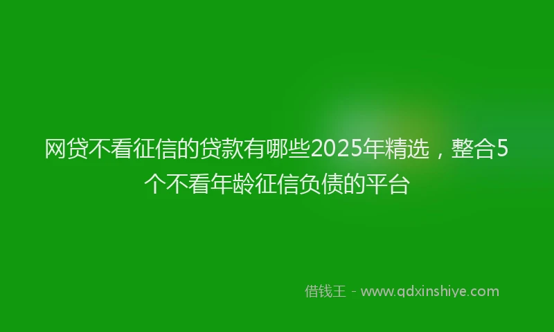 网贷不看征信的贷款有哪些2025年精选，整合5个不看年龄征信负债的平台