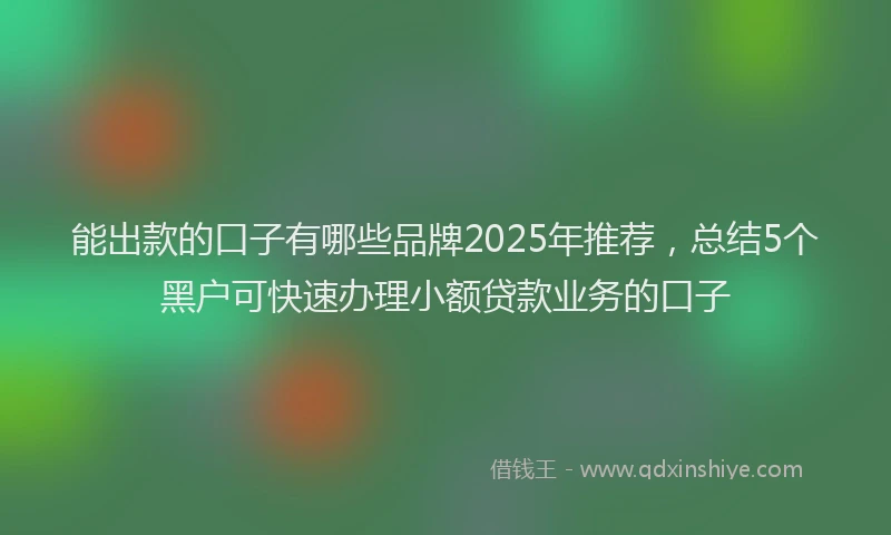 能出款的口子有哪些品牌2025年推荐，总结5个黑户可快速办理小额贷款业务的口子