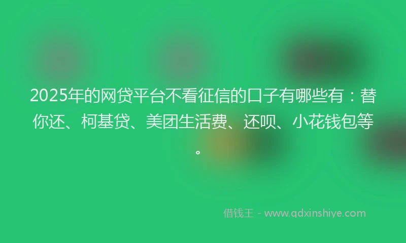 2025年的网贷平台不看征信的口子有哪些有：替你还、柯基贷、美团生活费、还呗、小花钱包等。