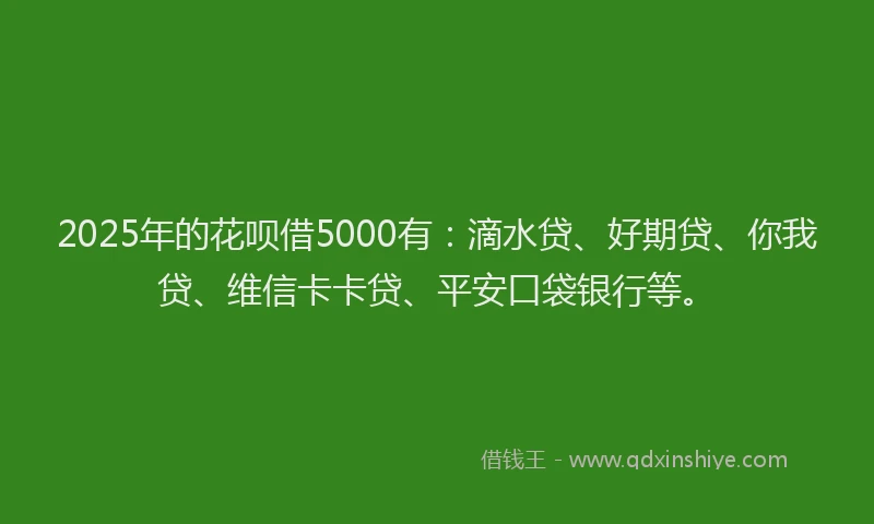 2025年的花呗借5000有：滴水贷、好期贷、你我贷、维信卡卡贷、平安口袋银行等。