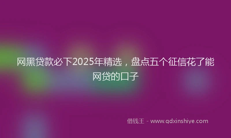 网黑贷款必下2025年精选，盘点五个征信花了能网贷的口子
