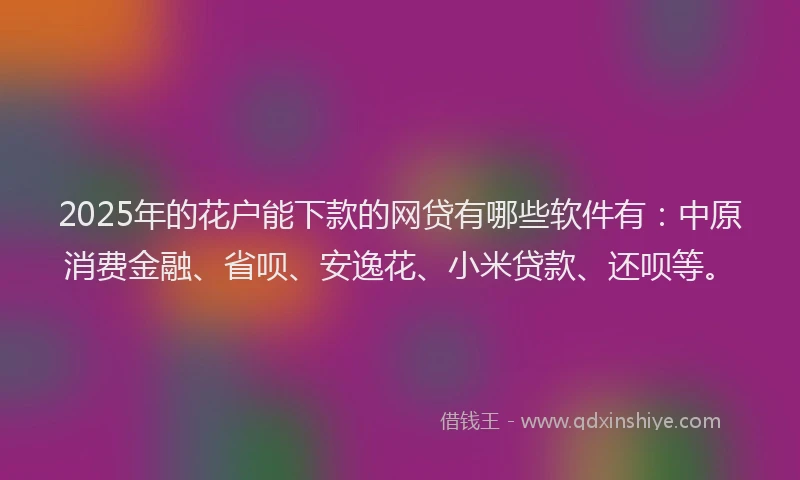 2025年的花户能下款的网贷有哪些软件有：中原消费金融、省呗、安逸花、小米贷款、还呗等。