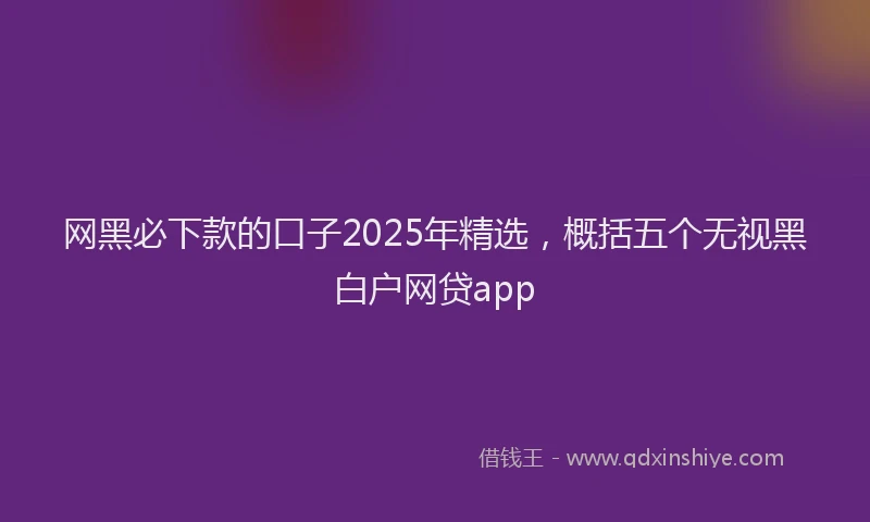 网黑必下款的口子2025年精选，概括五个无视黑白户网贷app