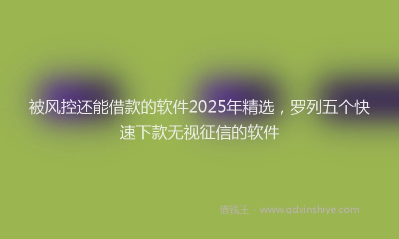 被风控还能借款的软件2025年精选，罗列五个快速下款无视征信的软件