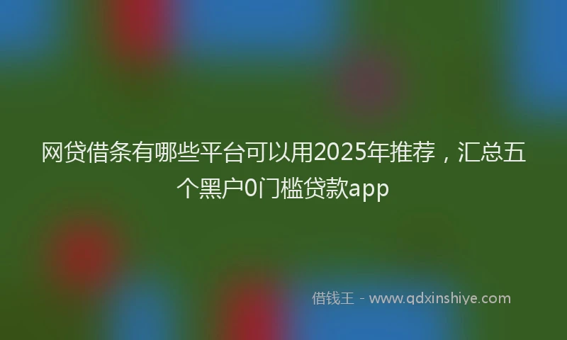 网贷借条有哪些平台可以用2025年推荐，汇总五个黑户0门槛贷款app
