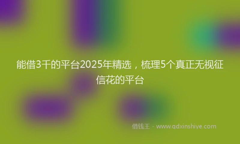 能借3千的平台2025年精选，梳理5个真正无视征信花的平台