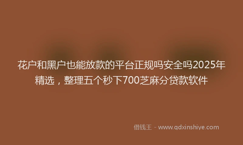 花户和黑户也能放款的平台正规吗安全吗2025年精选，整理五个秒下700芝麻分贷款软件