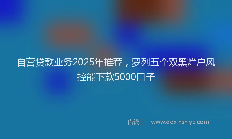 自营贷款业务2025年推荐，罗列五个双黑烂户风控能下款5000口子