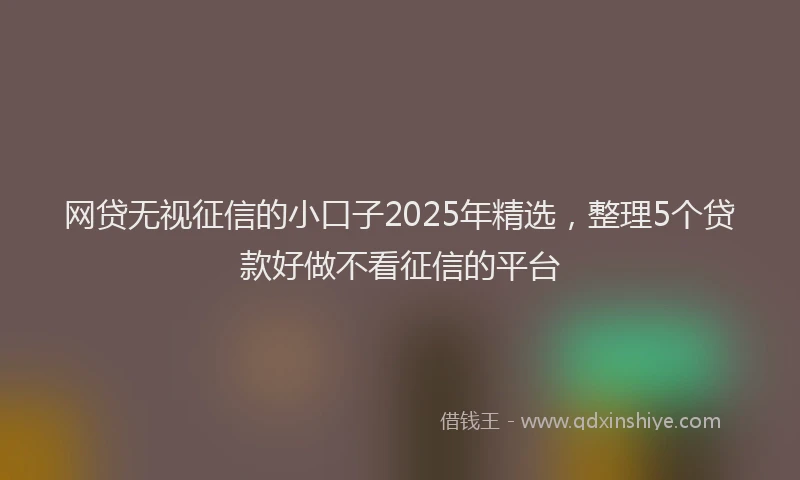 网贷无视征信的小口子2025年精选，整理5个贷款好做不看征信的平台
