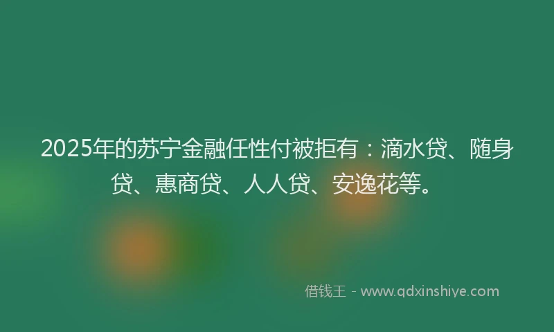 2025年的苏宁金融任性付被拒有：滴水贷、随身贷、惠商贷、人人贷、安逸花等。