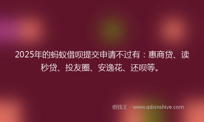 2025年的蚂蚁借呗提交申请不过有：惠商贷、读秒贷、投友圈、安逸花、还呗等。
