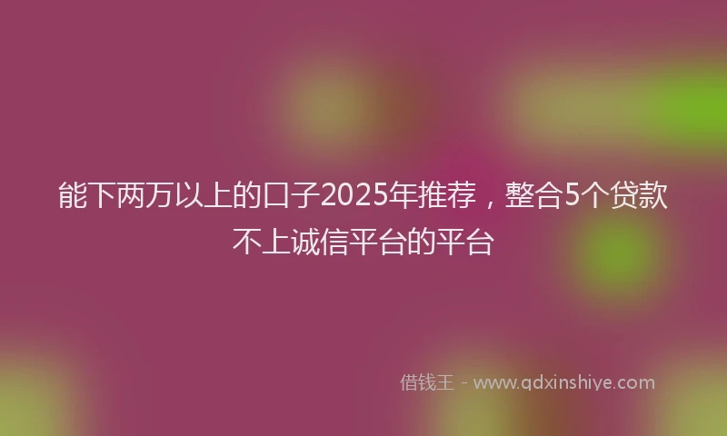 能下两万以上的口子2025年推荐，整合5个贷款不上诚信平台的平台