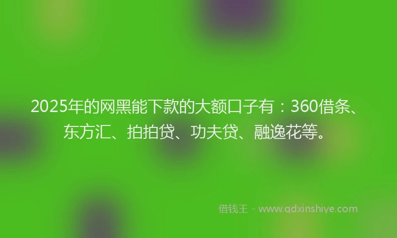2025年的网黑能下款的大额口子有：360借条、东方汇、拍拍贷、功夫贷、融逸花等。