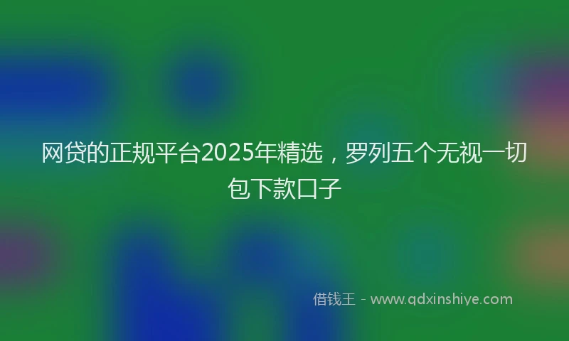 网贷的正规平台2025年精选，罗列五个无视一切包下款口子