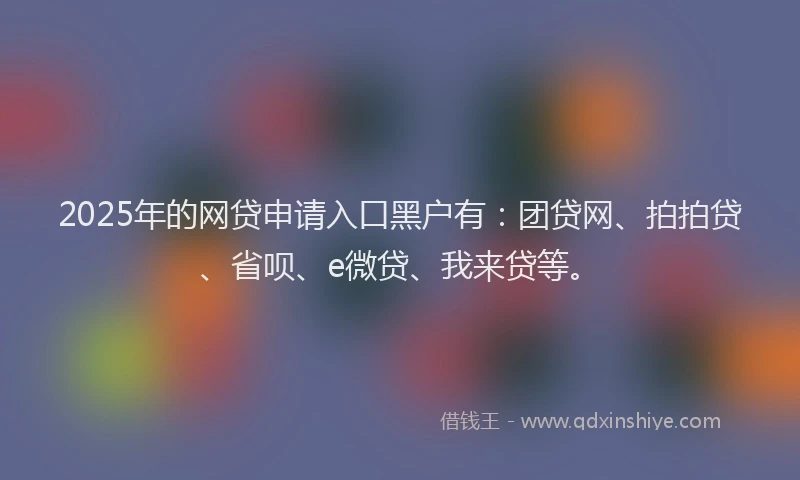2025年的网贷申请入口黑户有：团贷网、拍拍贷、省呗、e微贷、我来贷等。