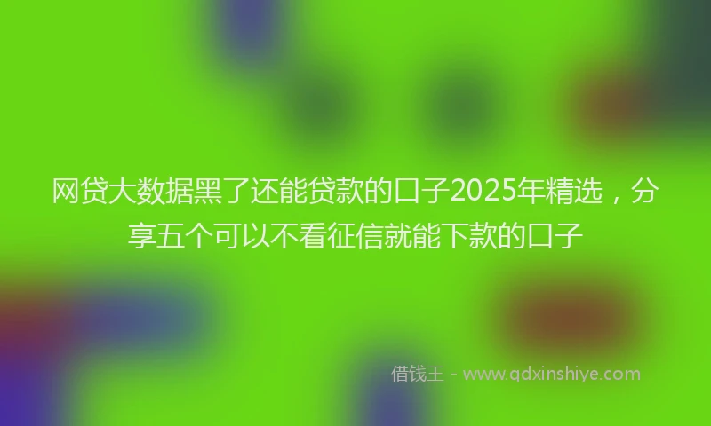 网贷大数据黑了还能贷款的口子2025年精选，分享五个可以不看征信就能下款的口子