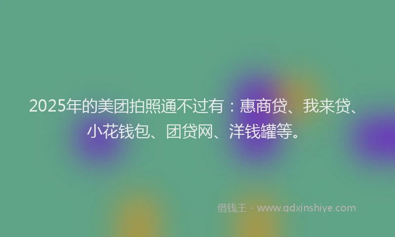 2025年的美团拍照通不过有：惠商贷、我来贷、小花钱包、团贷网、洋钱罐等。