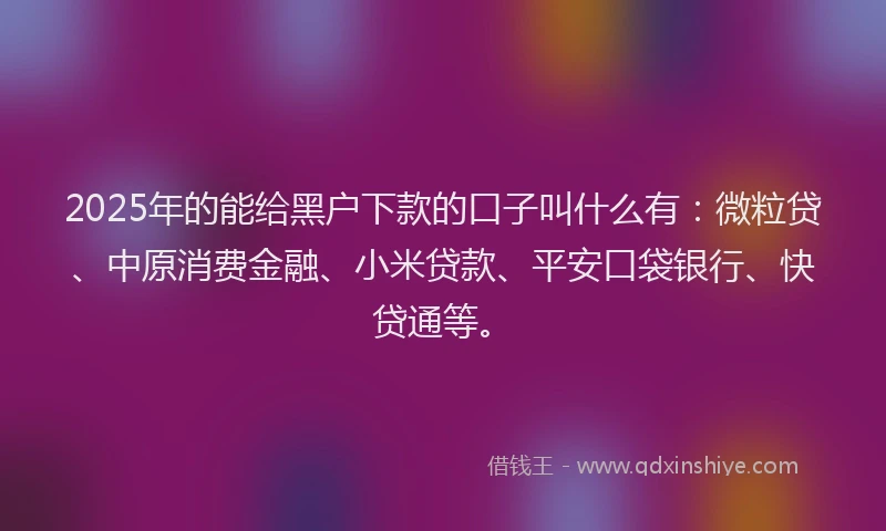 2025年的能给黑户下款的口子叫什么有：微粒贷、中原消费金融、小米贷款、平安口袋银行、快贷通等。