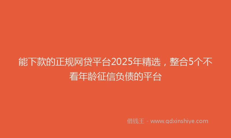 能下款的正规网贷平台2025年精选，整合5个不看年龄征信负债的平台