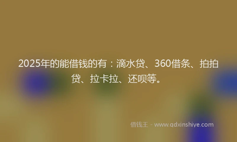2025年的能借钱的有：滴水贷、360借条、拍拍贷、拉卡拉、还呗等。