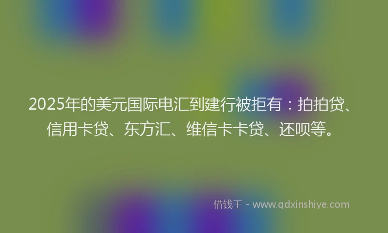 2025年的美元国际电汇到建行被拒有：拍拍贷、信用卡贷、东方汇、维信卡卡贷、还呗等。