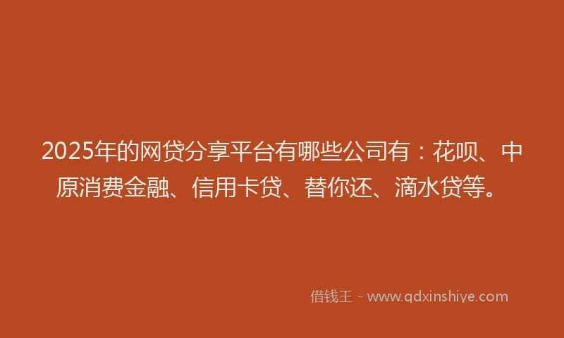 2025年的网贷分享平台有哪些公司有：花呗、中原消费金融、信用卡贷、替你还、滴水贷等。