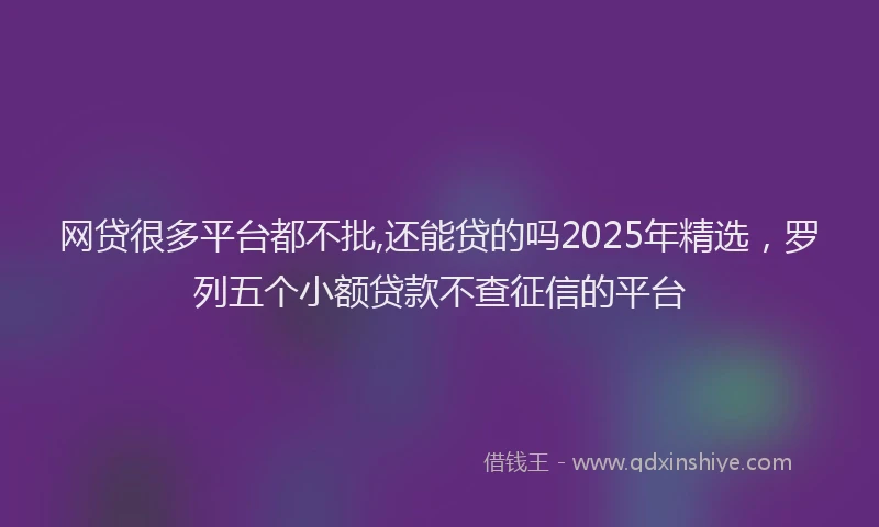 网贷很多平台都不批,还能贷的吗2025年精选，罗列五个小额贷款不查征信的平台
