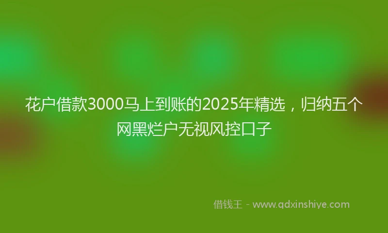 花户借款3000马上到账的2025年精选，归纳五个网黑烂户无视风控口子