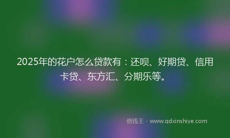 2025年的花户怎么贷款有：还呗、好期贷、信用卡贷、东方汇、分期乐等。