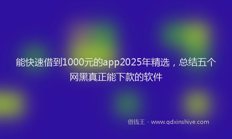 能快速借到1000元的app2025年精选，总结五个网黑真正能下款的软件