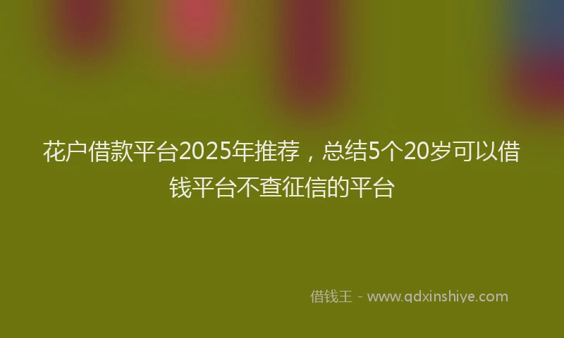 花户借款平台2025年推荐，总结5个20岁可以借钱平台不查征信的平台