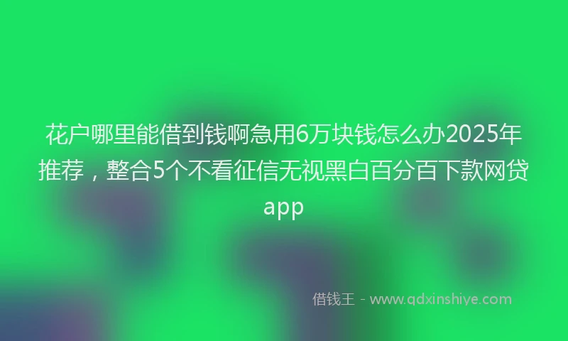 花户哪里能借到钱啊急用6万块钱怎么办2025年推荐，整合5个不看征信无视黑白百分百下款网贷app