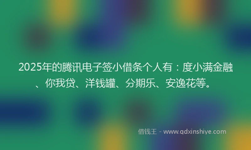 2025年的腾讯电子签小借条个人有：度小满金融、你我贷、洋钱罐、分期乐、安逸花等。