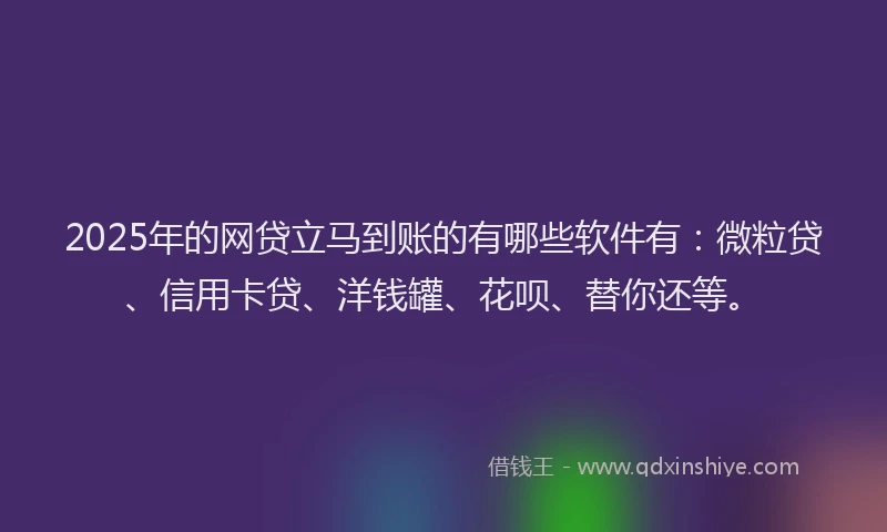 2025年的网贷立马到账的有哪些软件有：微粒贷、信用卡贷、洋钱罐、花呗、替你还等。