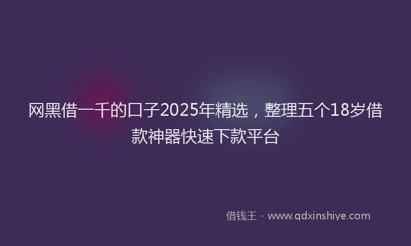 网黑借一千的口子2025年精选，整理五个18岁借款神器快速下款平台