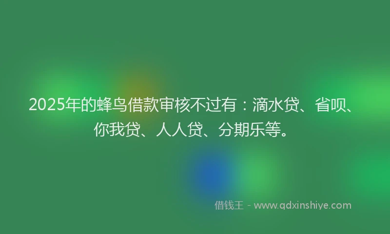 2025年的蜂鸟借款审核不过有：滴水贷、省呗、你我贷、人人贷、分期乐等。