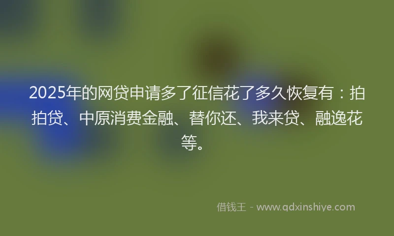 2025年的网贷申请多了征信花了多久恢复有：拍拍贷、中原消费金融、替你还、我来贷、融逸花等。