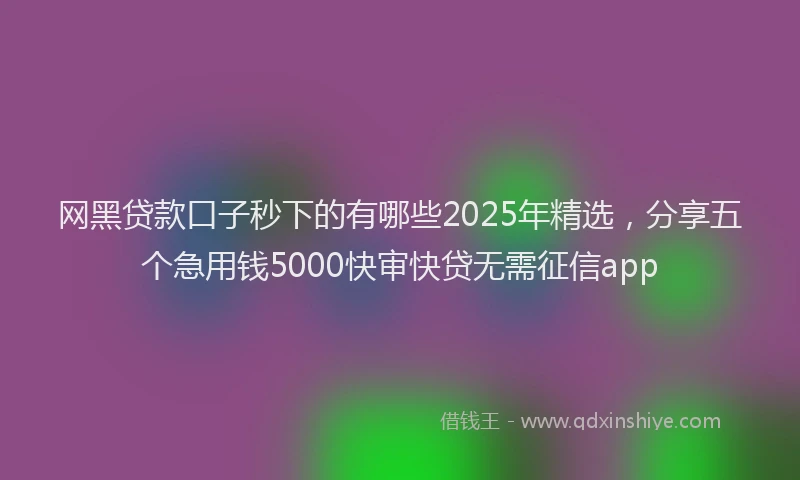 网黑贷款口子秒下的有哪些2025年精选，分享五个急用钱5000快审快贷无需征信app