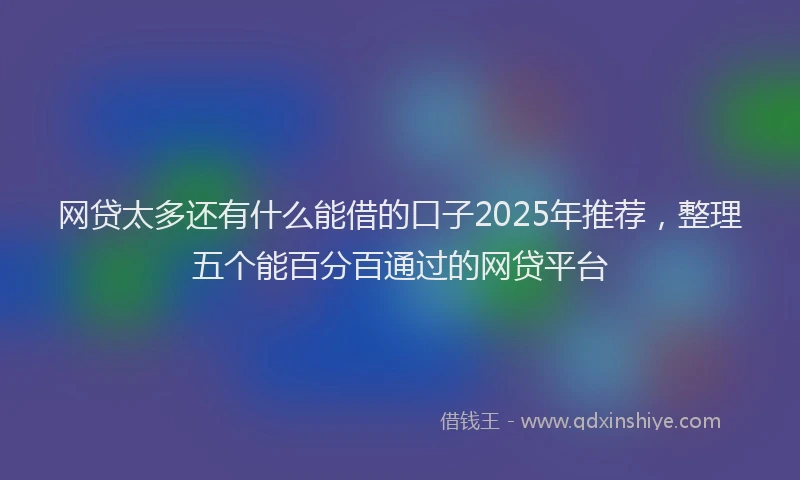 网贷太多还有什么能借的口子2025年推荐，整理五个能百分百通过的网贷平台