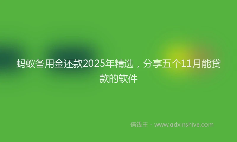 蚂蚁备用金还款2025年精选，分享五个11月能贷款的软件